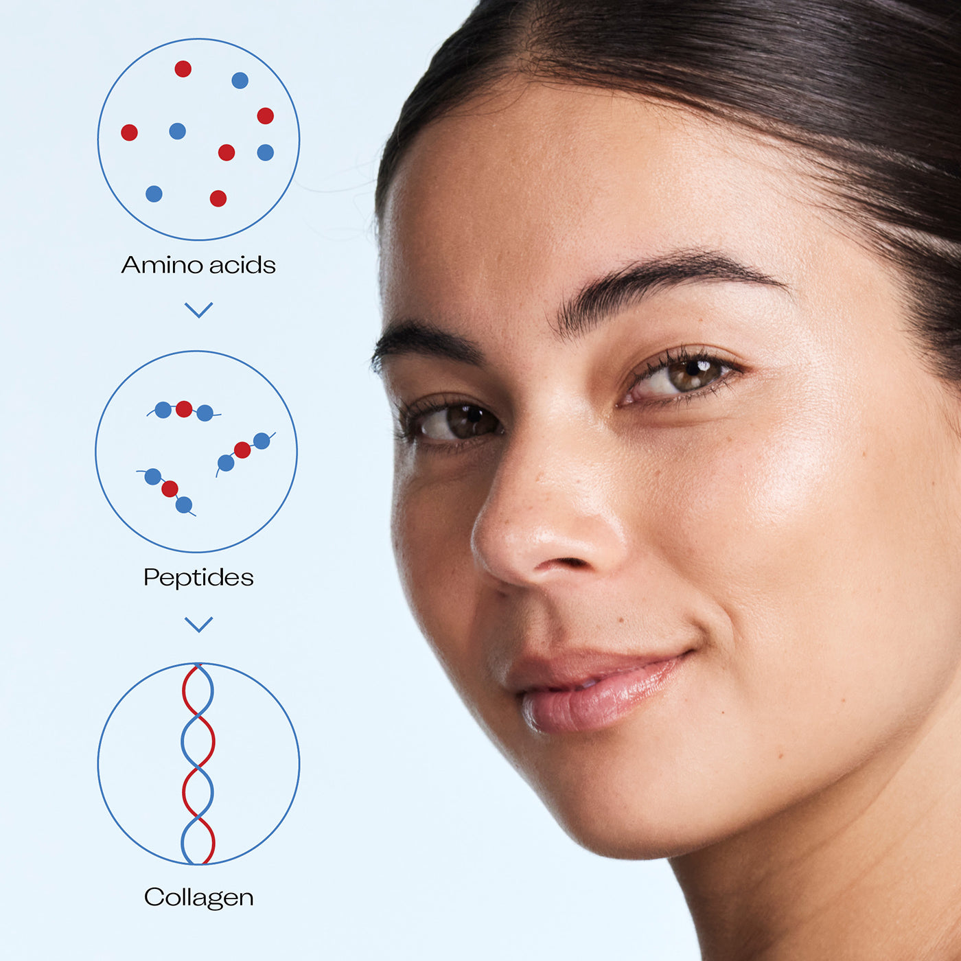 Pro-Collagen+ Milk Cream, 50ml