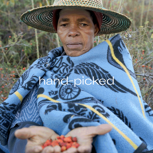 wild harvested