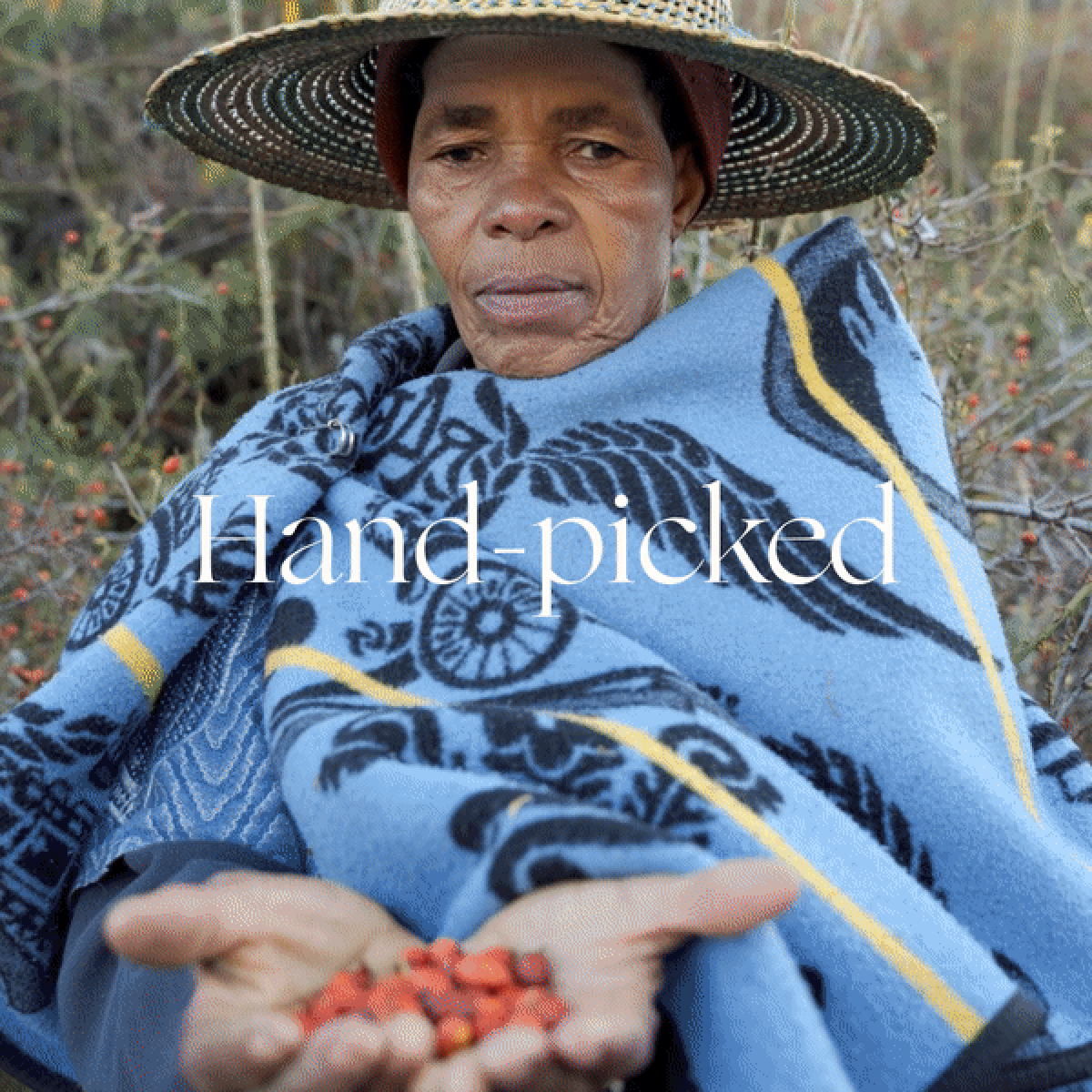 Certified Organic Rosehip Oil, 5mL